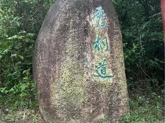 -梧桐山风景名胜区