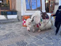 -香格里拉唐卡画院