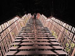 -福道