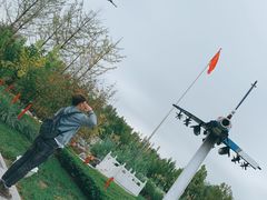 -武清南湖绿博园