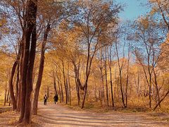 -玉渡山自然风景区