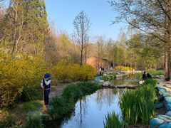 -白水寺森林公园