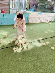 -萌宠亲子动物乐园(槐房万达店)