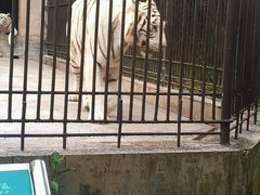 android_upload_pic-广东茂名森林公园