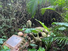 -海南热带野生动植物园