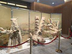 -香市公园-中国沉香文化博物馆