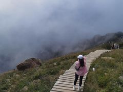 -白草畔自然风景区