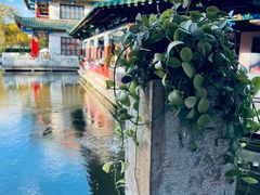 -MAP CHA普洱茶馆(翠湖店)