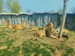 -北京野生动物园