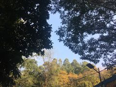 -火炉山森林公园