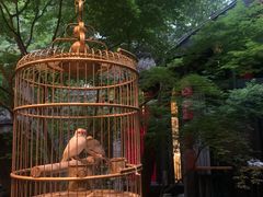 -哈哈曲艺社(西门闲亭店)