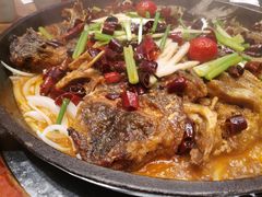 -老板恋上鱼(印象城店)