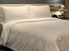 -深圳国际会展中心希尔顿酒店(前海华发冰雪世界店)