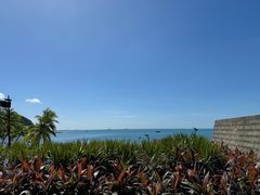 -日落吧·海景咖啡厅·餐酒吧·鸡尾酒·下午茶·乐队表演·浪漫夕阳·三亚文华东方酒店