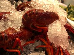 旺小胖招牌冰镇龙虾-旺小胖小龙虾