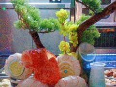 -阿伟海鲜楼·福建菜(延寿店)