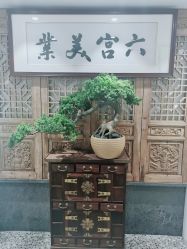 -六宫Spa女子养护中心