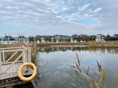 -鹦鹉洲湿地公园