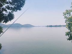 -东湖落雁景区