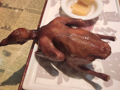 红烧乳鸽-大鸽饭(北京路店)