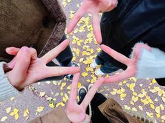 -白鹭湾湿地公园