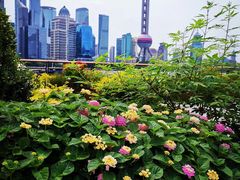 -北外滩滨江绿地