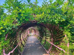 -世间香境·七溪地