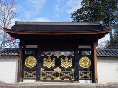 -醍醐寺
