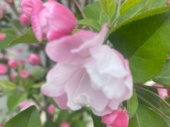 -北京大学(昌平校区)