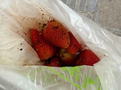 -雪儿钱局泡菜