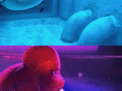 -正佳极地海洋世界