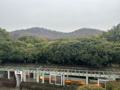 -我家农庄