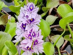 -白鹭湾湿地公园