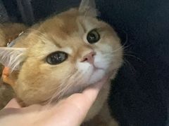 -联合动物医院(光谷诊疗中心)