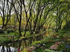 -上海共青森林公园