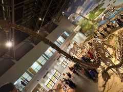 -自贡恐龙博物馆