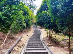-火炉山森林公园