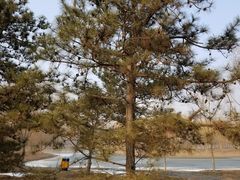 -东郊湿地公园