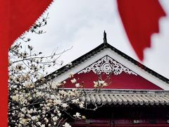 -长春观