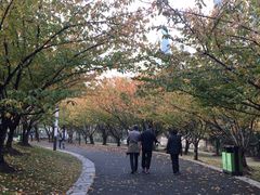 -苏州河梦清园环保主题公园