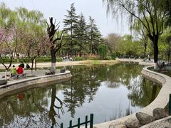 -西安市长乐公园