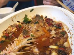 -八珍饺子·烤鸭·家常菜