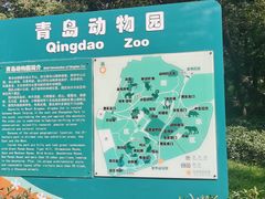 -青岛动物园