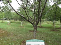 -白塘生态植物园