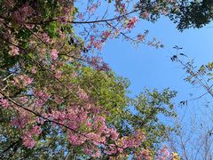 -苍山感通索道