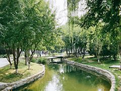 -春风习习