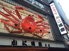 -蟹道乐(道顿堀本店)
