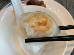 -张江海科雅乐轩聚聚乐