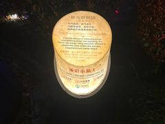 -扬州瘦西湖温泉