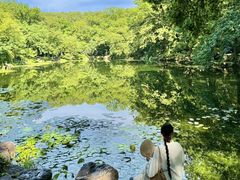 -灵谷景区